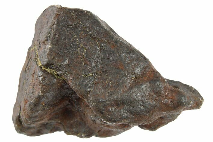 Canyon Diablo Iron Meteorite ( g) - Arizona #262875